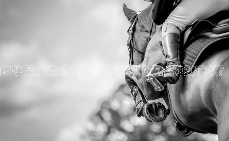 门徒注册百度搜索资源平台揭秘足球运动员郑智的老家位置，你知道吗？