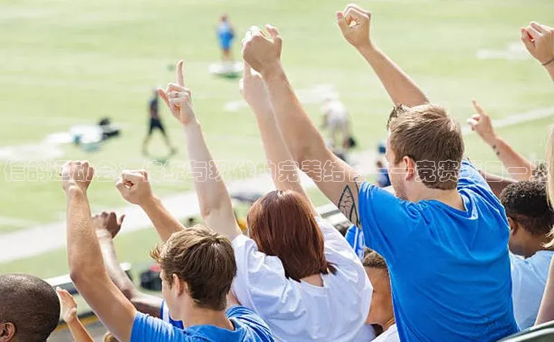 信鸽运动会：传统与现代的完美结合——竞赛项目一览