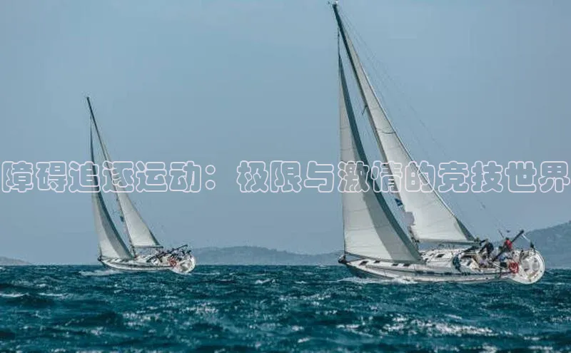 障碍追逐运动：极限与激情的竞技世界