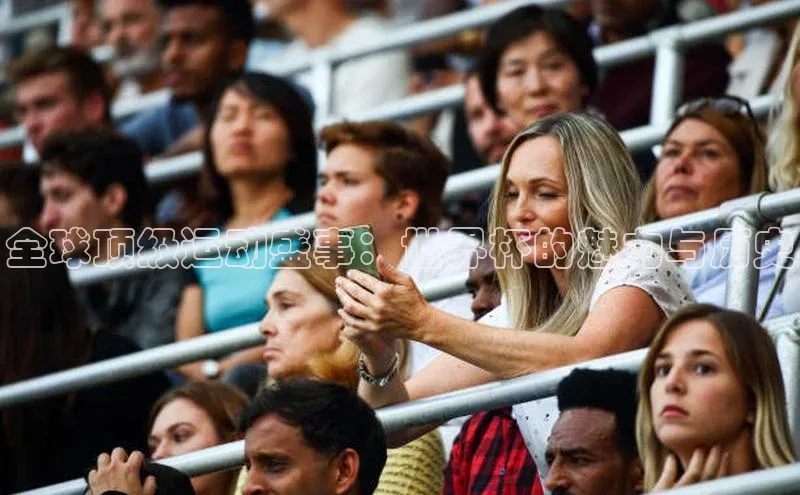 全球顶级运动盛事：世界杯的魅力与历史