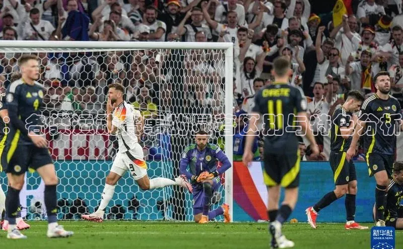 ：各类运动赛事的显著区别与特色分析