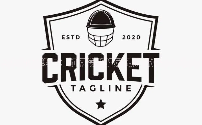 尽享动感魅力：如何赏析运动赛事的深度与激情