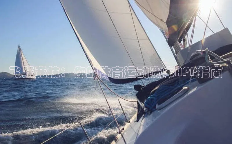 飞跃竞技：你的体育运动赛事APP指南