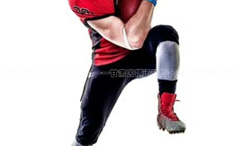 棋缘甘肃：与交流的桥梁——甘肃围棋运动协会赛事回顾与展望