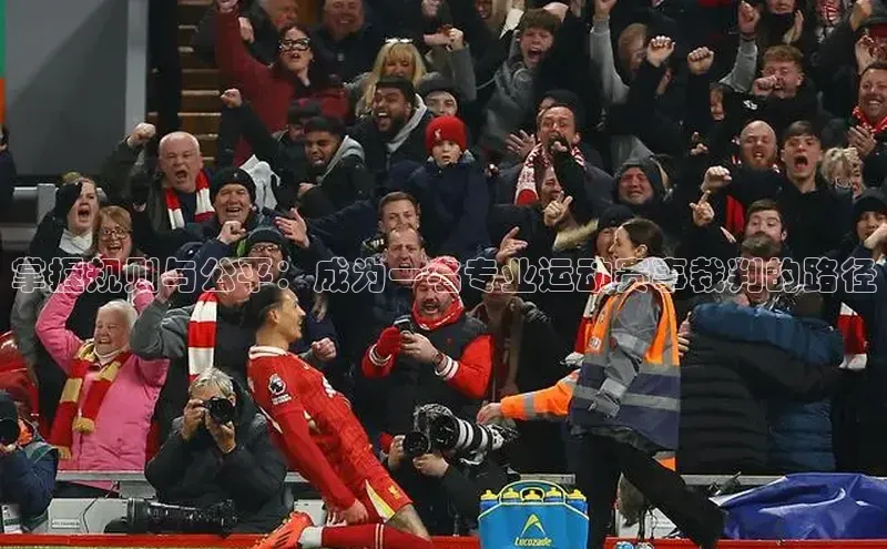 掌握规则与公平：成为一名专业运动赛事裁判的路径