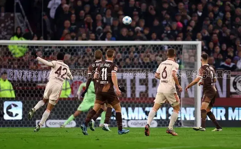 潍坊市：泳动的激情与挑战——2023年度游泳赛事总结与展望