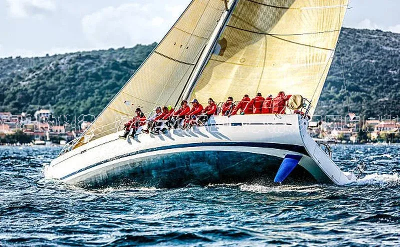 青春的旋律：校园三项运动赛事精彩回顾与展望