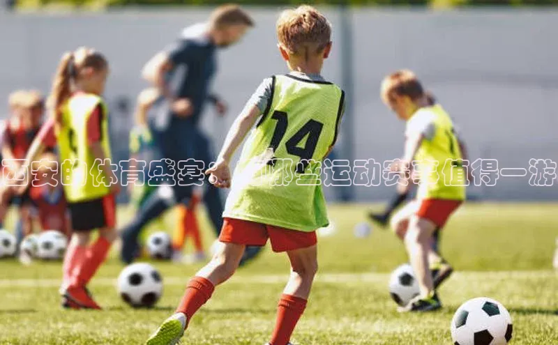 西安的体育盛宴：有哪些运动赛事值得一游