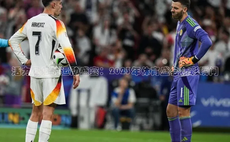 活力四射的运动盛宴：2023年体育盛会精彩瞬间