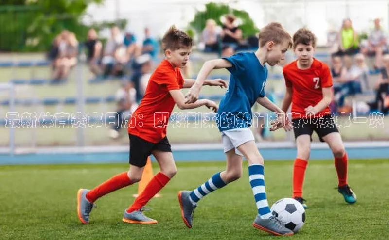 最新体育赛事日历：即将到来的热门和专业赛事一览