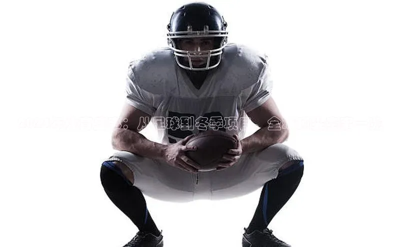 2024年体育盛事：从足球到冬季项目，全球顶尖赛事一览