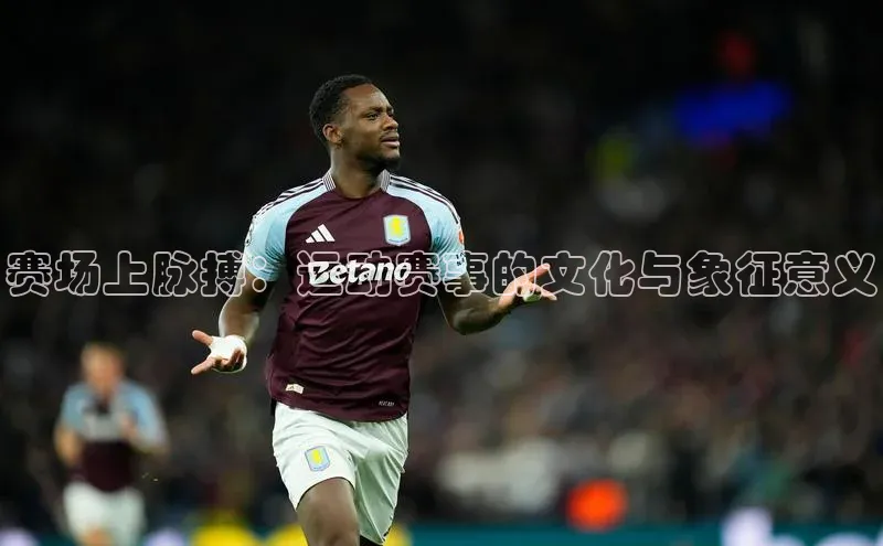 赛场上脉搏：运动赛事的文化与象征意义