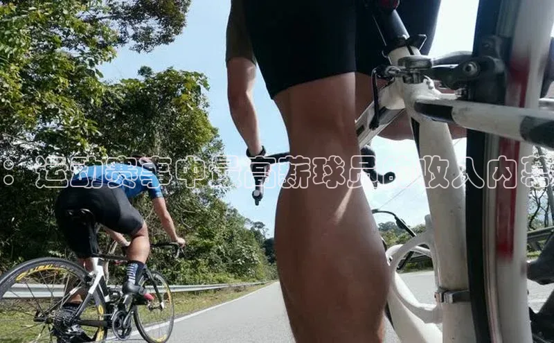 ：运动赛事中最高薪球员的收入内幕