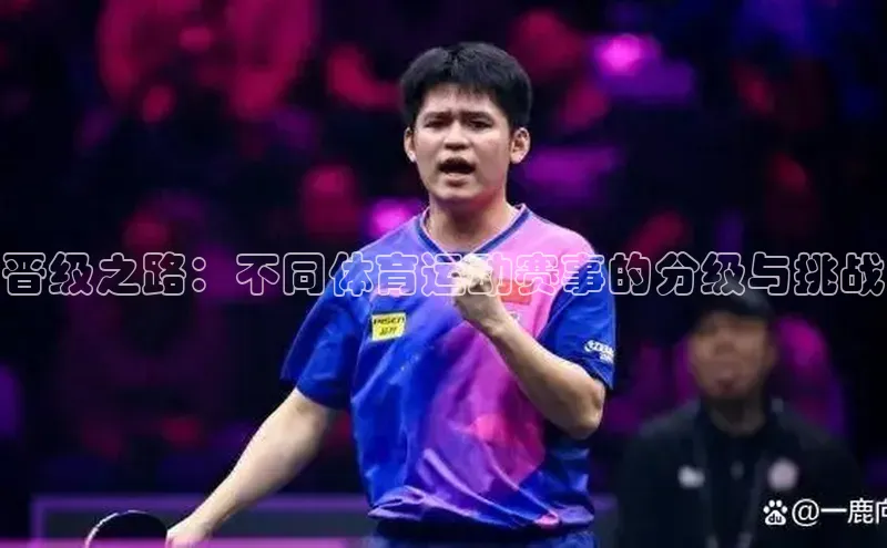 晋级之路：不同体育运动赛事的分级与挑战